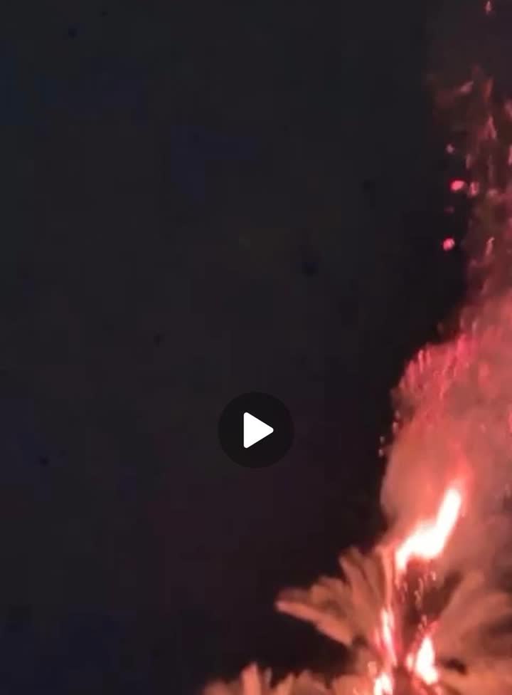 עץ עולה באש כתוצאה מפגיעת ברק