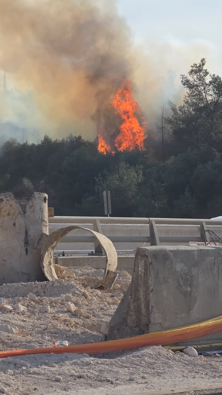שריפת קוצים סמוך לציר תנועה
