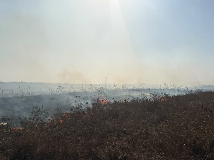 עשן ואש בשטח הפתוח באזור מועאוויה