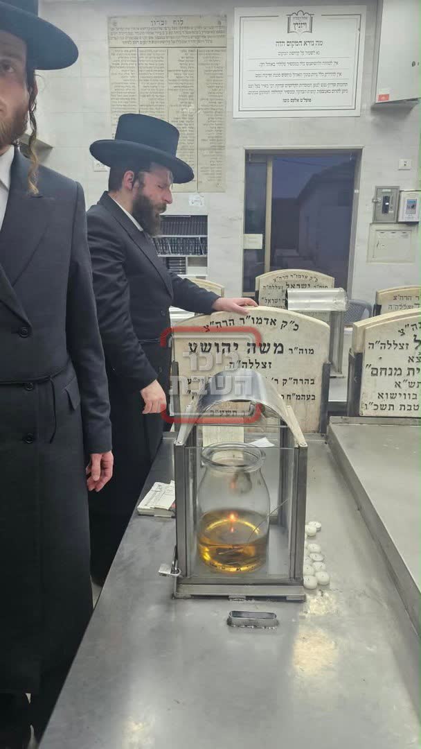 אליקים שטארק מתפלל בציון האדמו״ר