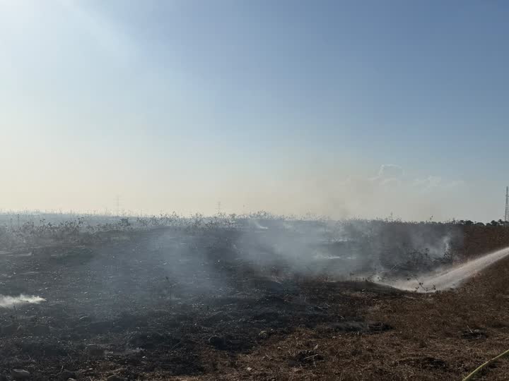 לוחמי אש בפעולות כיבוי שריפה בשטח פתוח